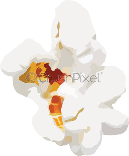 Popcorn Kernel Vector