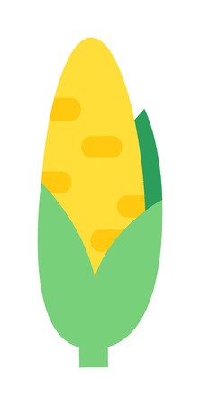 222x450 Corn Cobs Vector Illustration Healthy Grain Maize Vegetable Cob