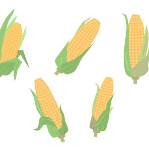 300x300 Photostock Vector A Cartoon Illustration Of A Popcorn Kernel