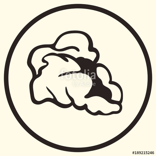 500x500 Pop Corn Kernels Line Art Vector Isolated Icon For Cinema Apps