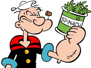 Free Popeye Popeye Vector Graphics Tag Ui Download 310x233 Free Popeye Popeye Vector Graphics Tag Ui Download