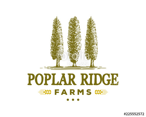 500x400 Poplar Tree On The Park For Agriculture Sign Symbol Hand Drawn