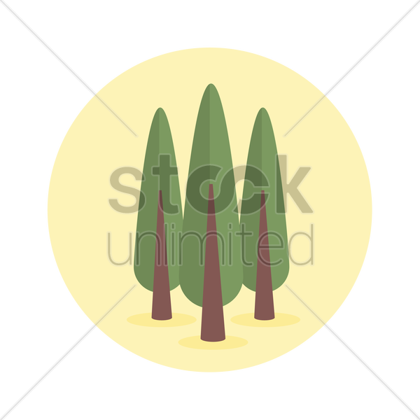 600x600 Poplar Tree Vector Image