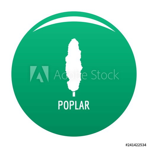 500x500 Poplar Tree Icon Simple Illustration Of Poplar Tree Vector Icon