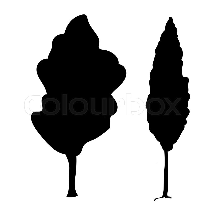 800x800 Silhouette Poplar Icon Tree Flora Stock Vector Colourbox