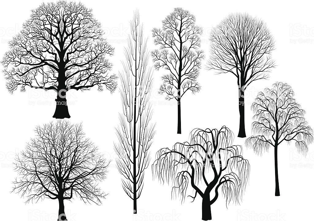 1024x721 Trees Stock Illustration