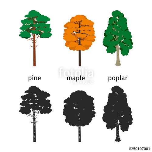 500x500 Vector Forest Trees Isolated On White Background Illustration