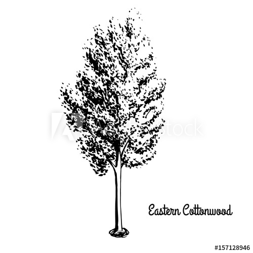 500x500 Vector Sketch Illustration Of Necklace Poplar Black Silhouette