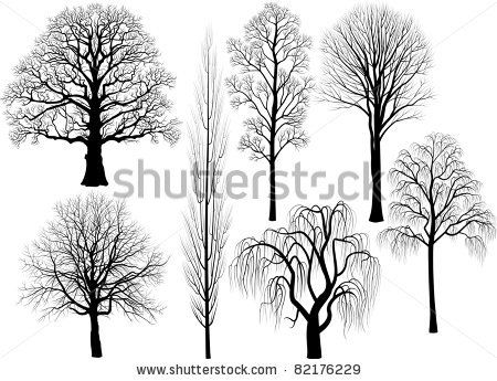 450x345 Lime And Linden Tree Tattoo Of Trees Silhouettes Shutterstock