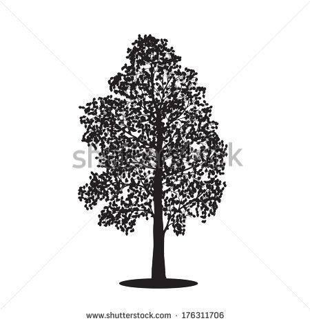 450x470 Silhouette Detached Tree Birch With Leaves On A White Background