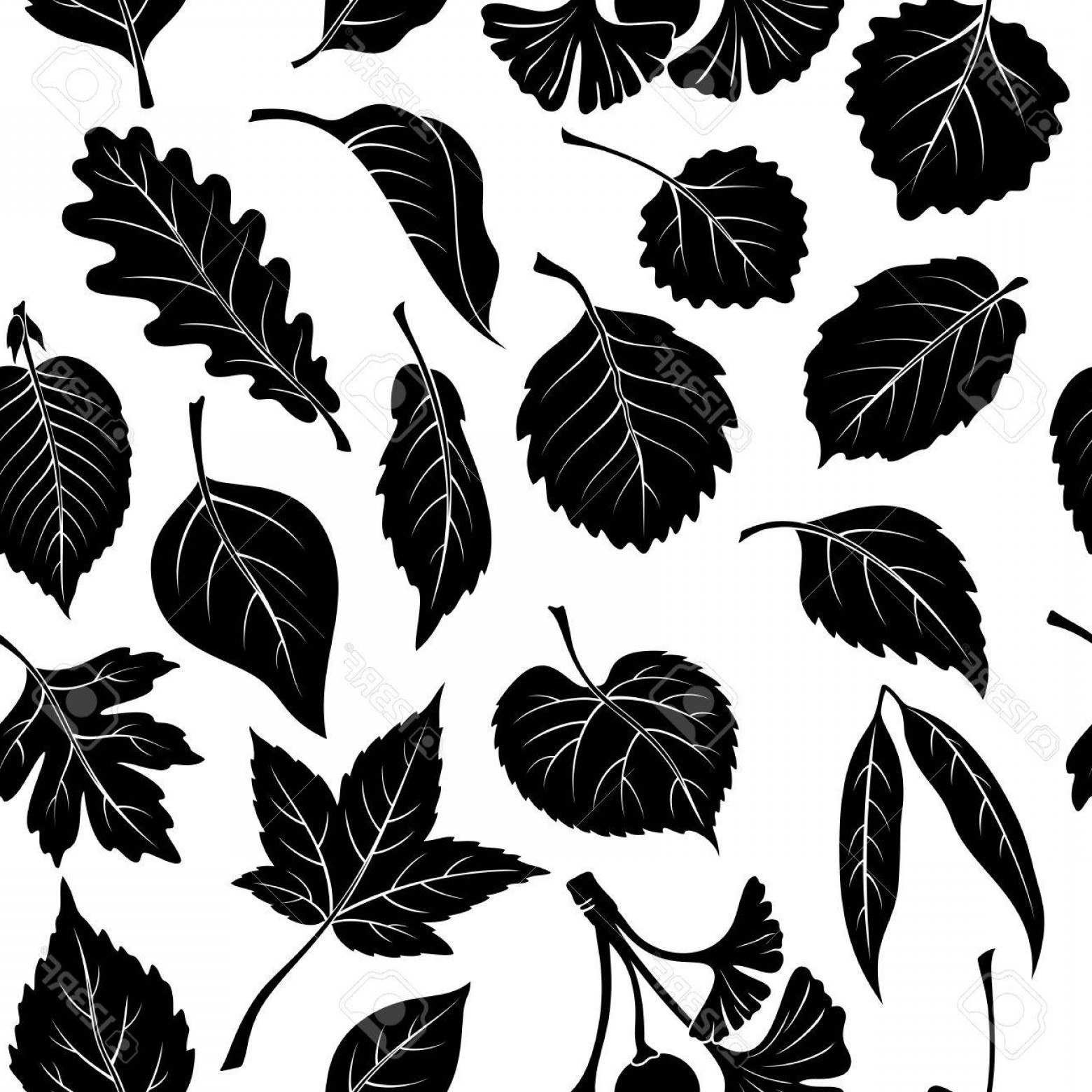 1560x1560 Photostock Vector Seamless Nature Background With Black Pictogram