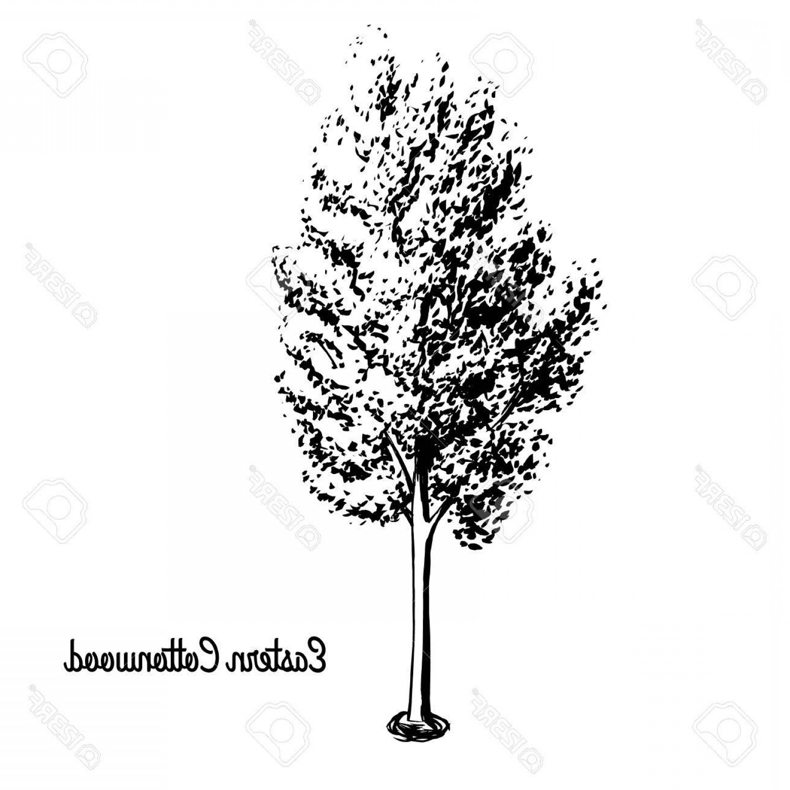 1560x1560 Photostock Vector Vector Sketch Illustration Of Necklace Poplar