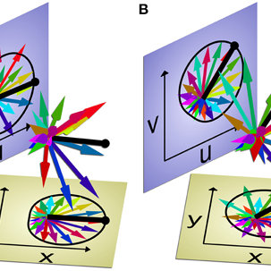 303x303 Multi Dimensional Population Vector Selectively Encoding Two Pairs