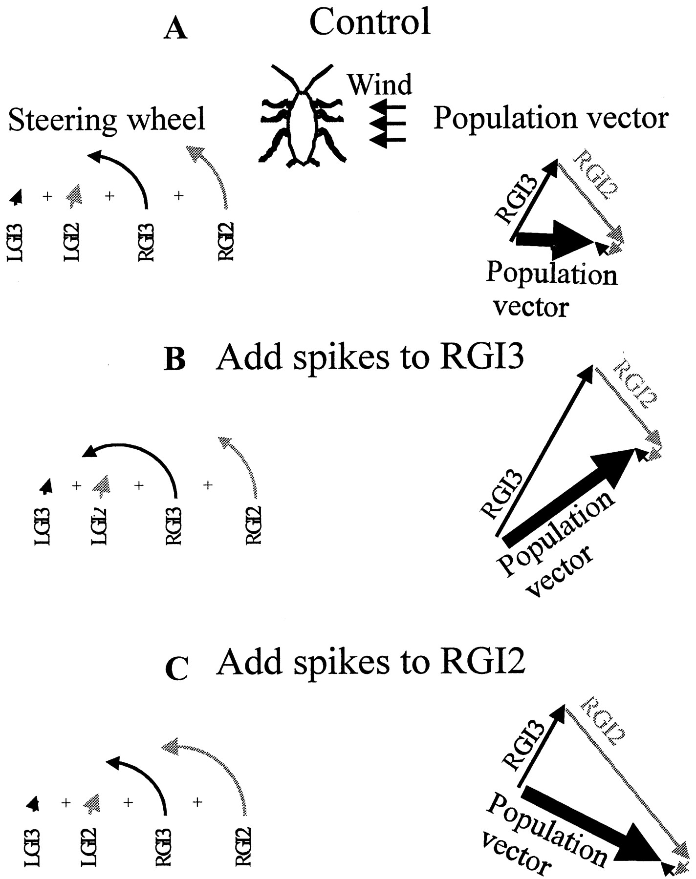 1424x1800 Population Vector Coding