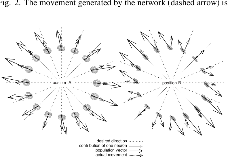 799x551 Actual Movement And Population Vector In Two Arm Positions Desired
