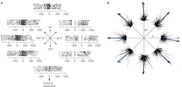 600x288 Search Results Summer
