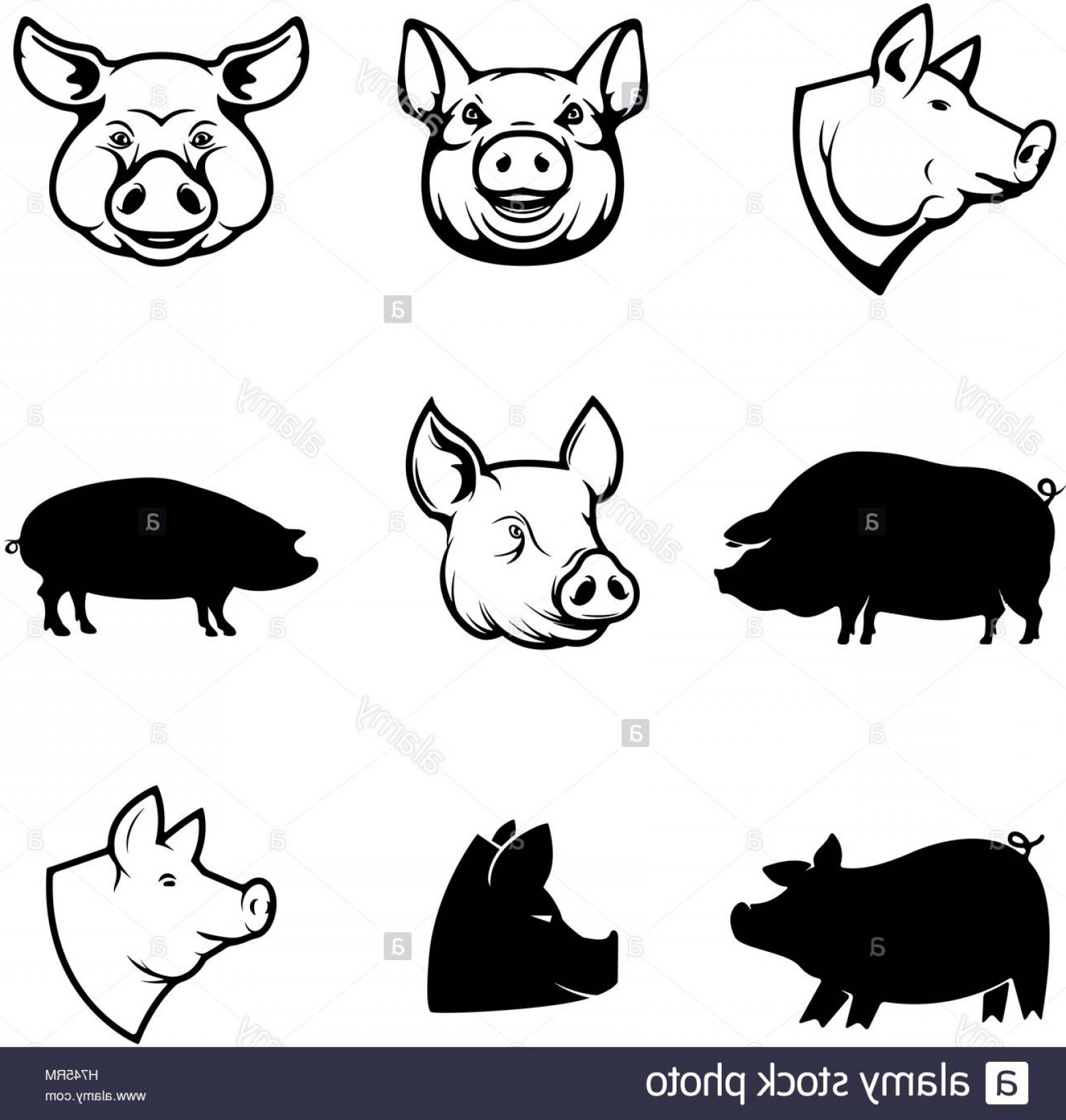 1560x1639 Pig Head Silhouette Vector Lamaison