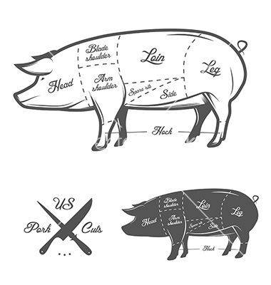 Pork Vector