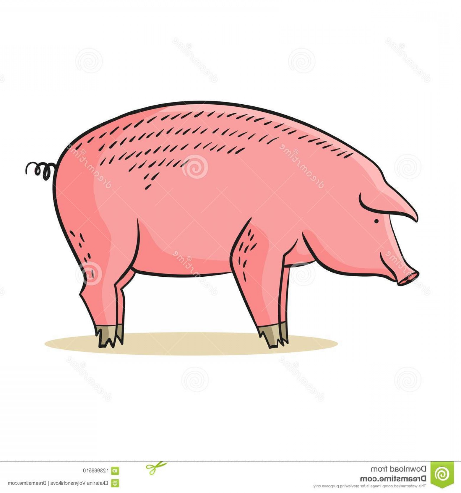 1560x1668 Pig Vector Catchsplace