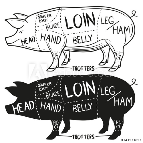 Pork Vector At Vectorified.com 