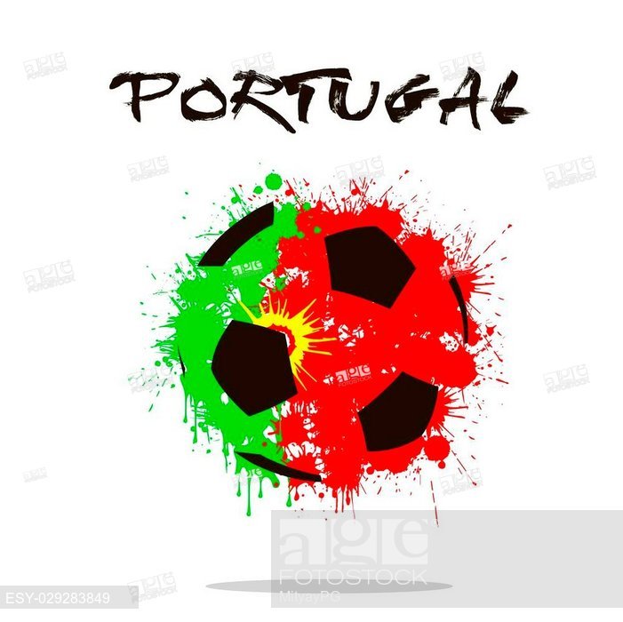 Portugal Flag Vector