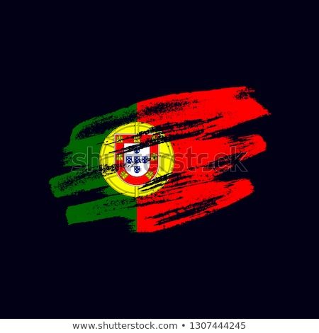 450x470 Grunge Textured Portuguese Flag Vector Brush Painted Flag