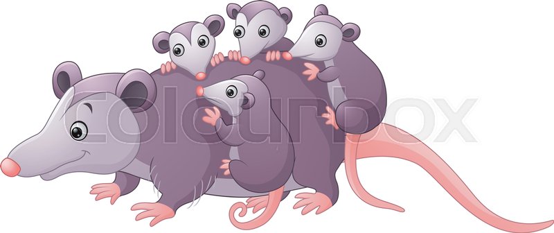 Possum Vector at Vectorified.com | Collection of Possum Vector free for