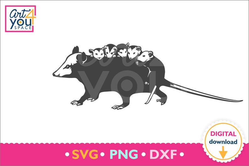 794x530 Opossum Possum Mom Woodland Animal Wild Nature Cute Etsy