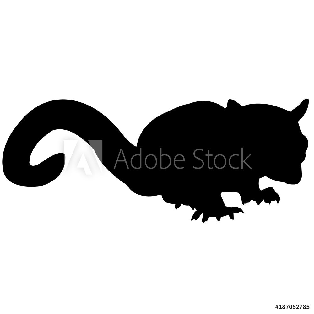 1000x1000 Photo Art Print Possum Silhouette Vector Graphics Europosters
