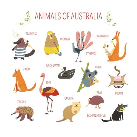 450x450 Cartoon Australian Animals And Birds For Kids Design Vector Funny