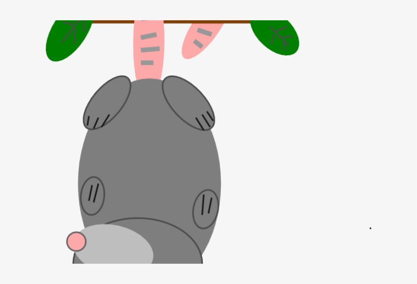 820x560 Possum Clipart Vector