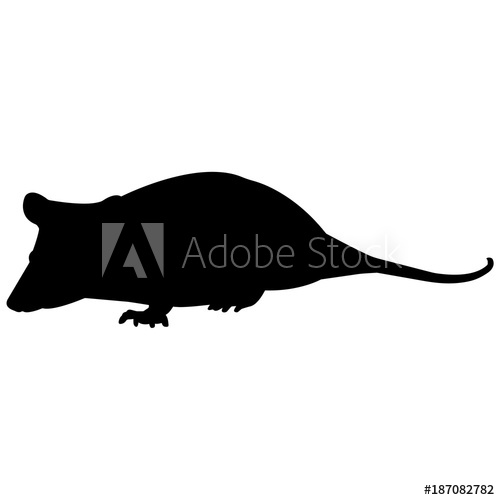 500x500 Possum Silhouette Vector Graphics