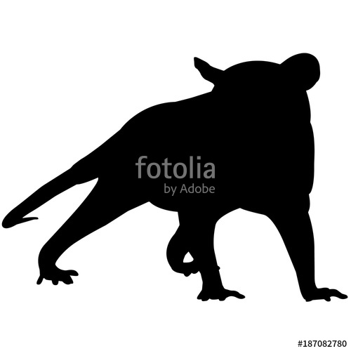 500x500 Possum Silhouette Vector Graphics Stock Image And Royalty Free