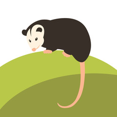 240x240 Possum Vector Photos, Royalty Free Images, Graphics, Vectors