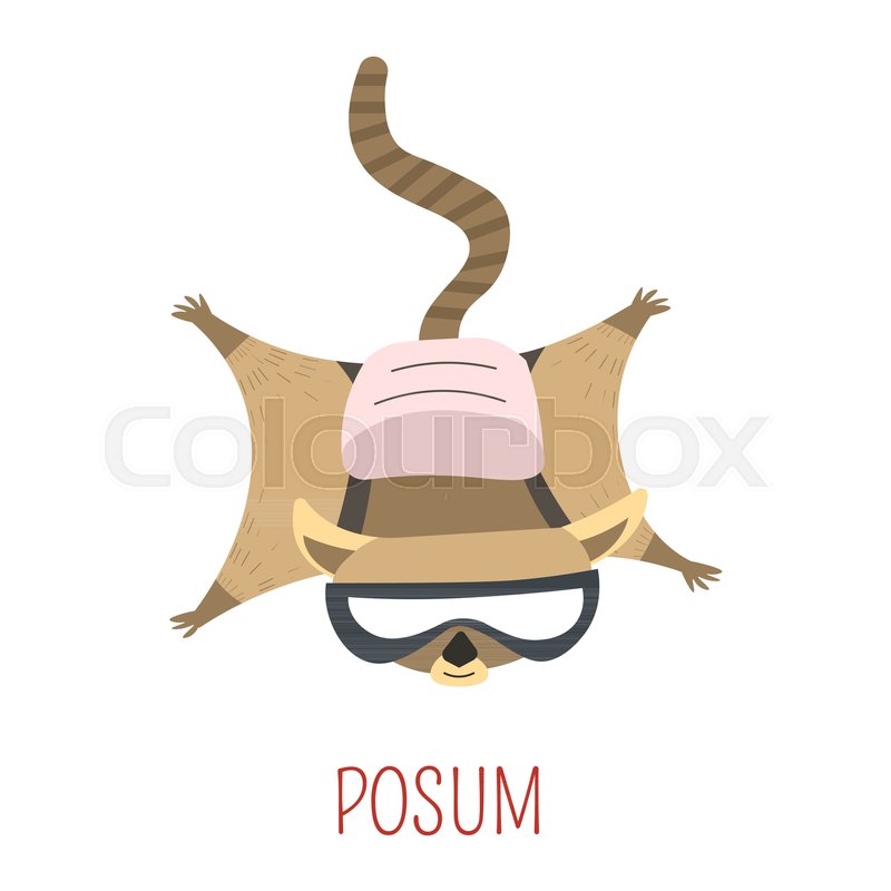 800x800 Possum Flies With Backpack Childish Stock Vector Colourbox