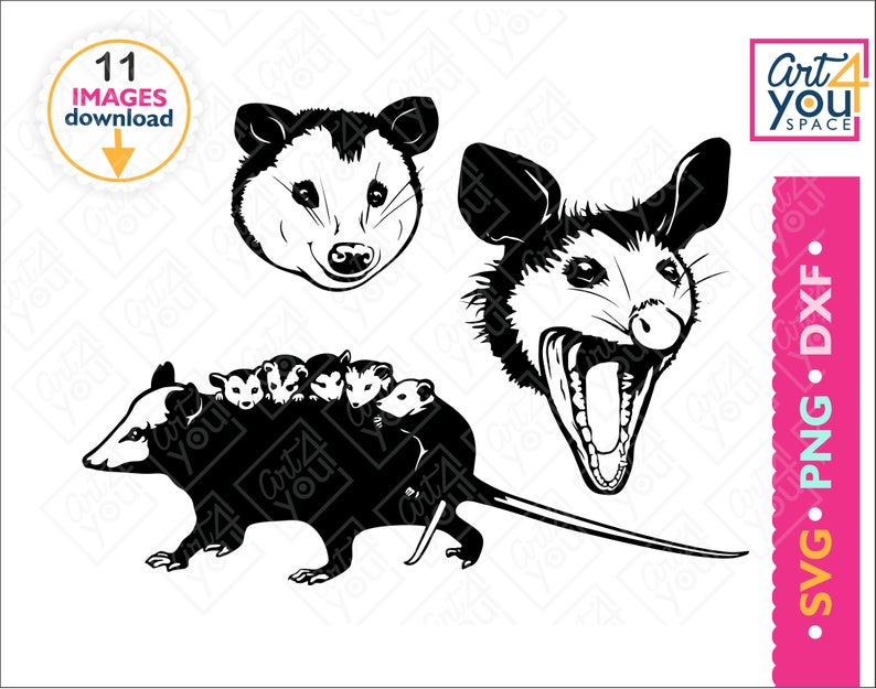 794x625 Opossum Mom Possum Face Woodland Animal Wild Nature Etsy