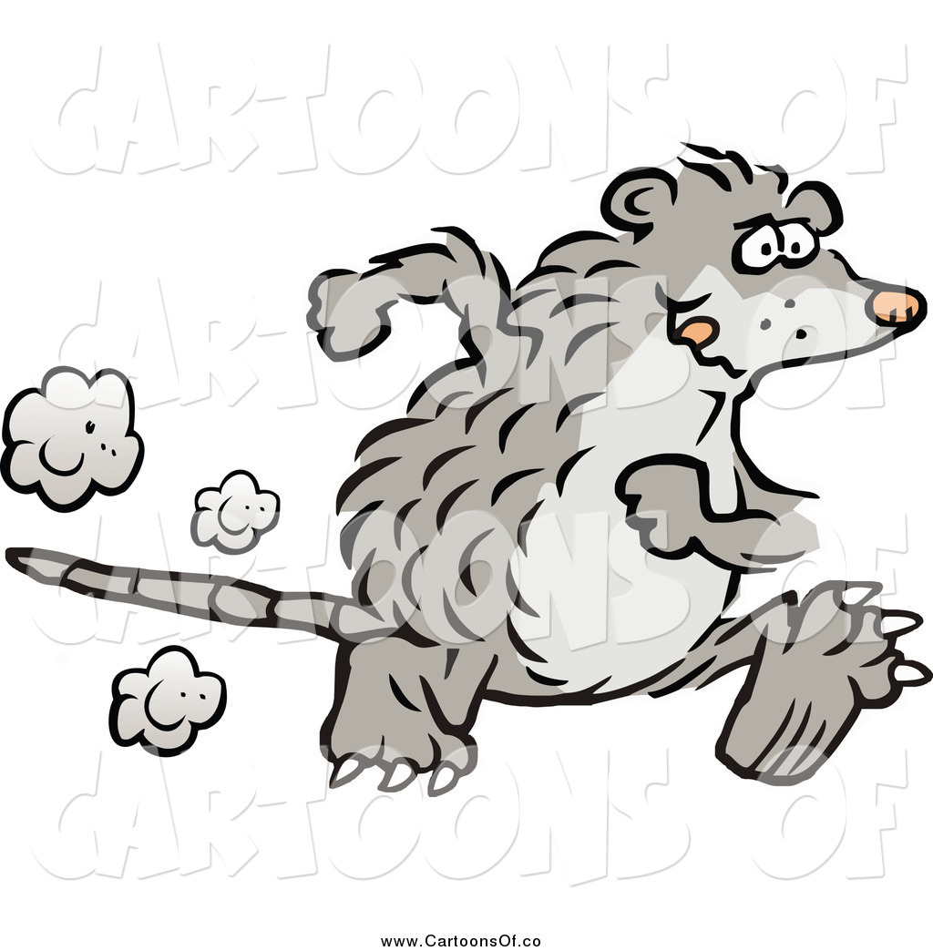 1024x1044 Vector Illustration Of A Possum Running