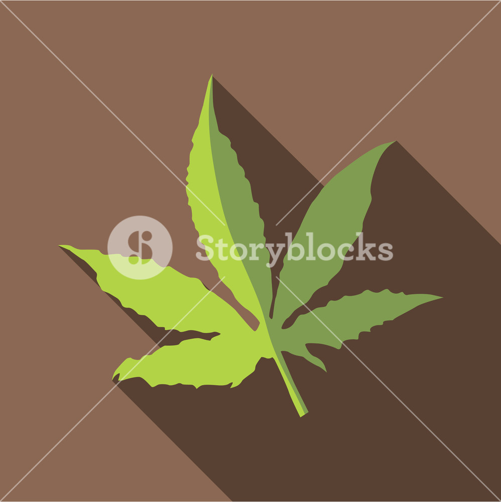 Marijuana Leaf Icon Flat Illustration Of Marijuana Leaf Vector 998x1000 Marijuana Leaf Icon Flat Illustration Of Marijuana Leaf Vector