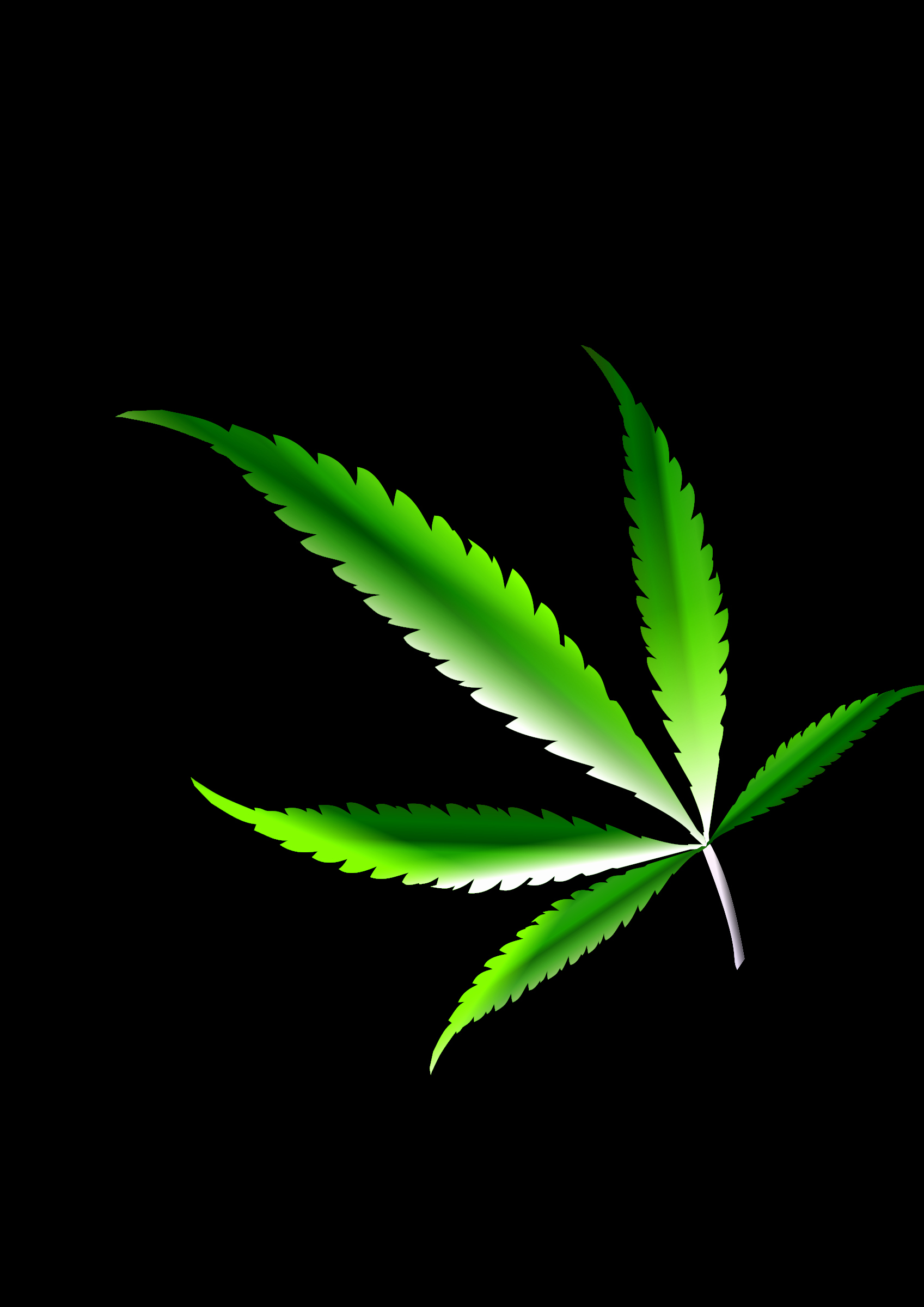 1697x2400 Pot Leaf Vector Lovely Marijuana Leaf This Year Nobel Wallpaper