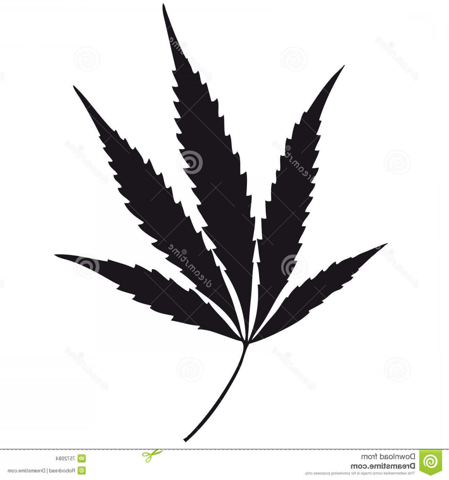 Stock Images Marijuana Leaf Vector Image Hoodamathrun 1560x1668 Stock Images Marijuana Leaf Vector Image Hoodamathrun