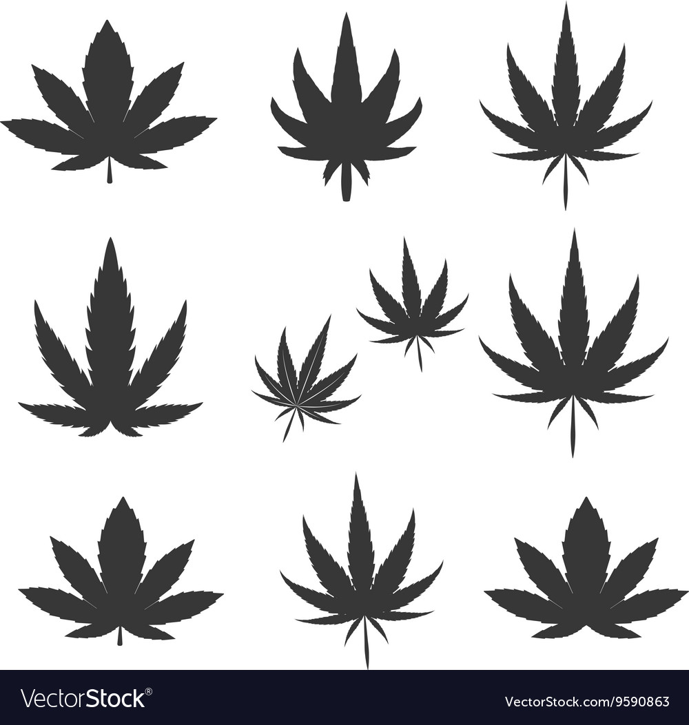 Cannabis Leaf Icon 1000x1053 Cannabis Leaf Icon