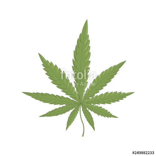 Cannabis Leaf Icon, Marijuana Leaf Vector Illustration Stock 500x500 Cannabis Leaf Icon, Marijuana Leaf Vector Illustration Stock