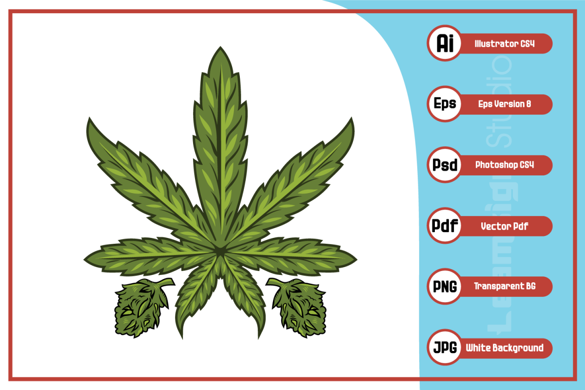 Cannabis Marijuana Leaf 1200x800 Cannabis Marijuana Leaf