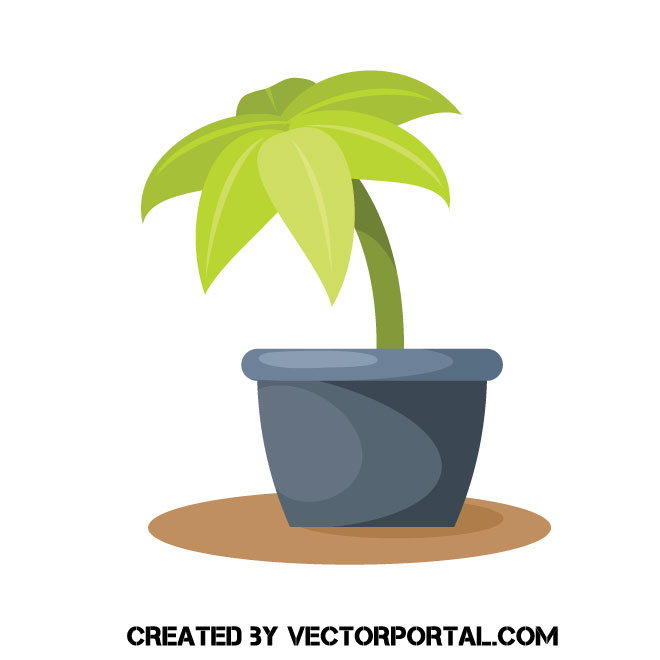 660x660 Green Plant In A Pot Vector Image