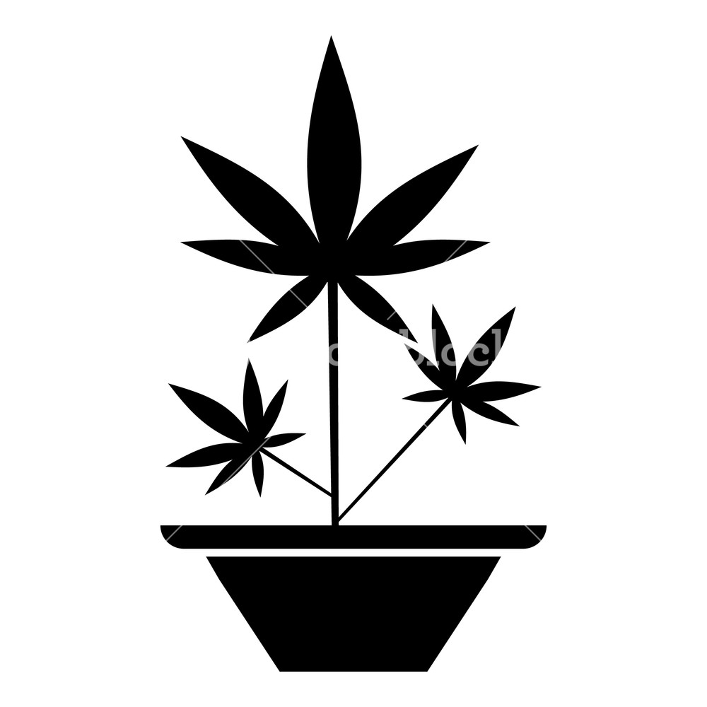 1000x1000 Hemp In Pot Icon Simple Illustration Of Hemp In Pot Vector Icon
