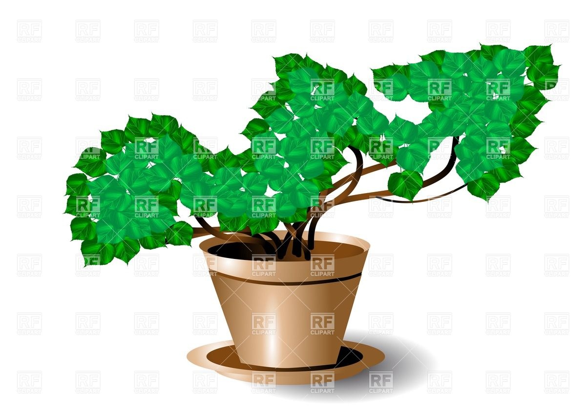 1200x849 Plant In The Pot Vector Image Of Plants And Animals Arkela