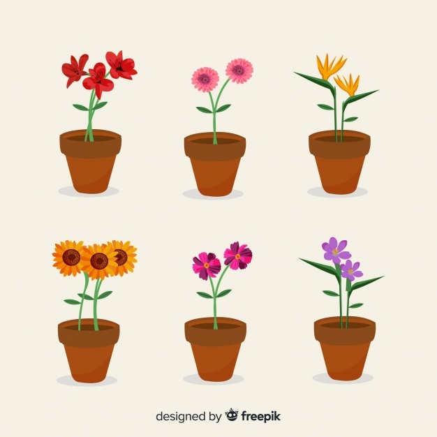 626x626 Pot Vectors, Photos And Free Download