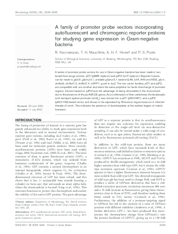 595x782 Pdf A Family Of Promoter Probe Vectors Incorporating
