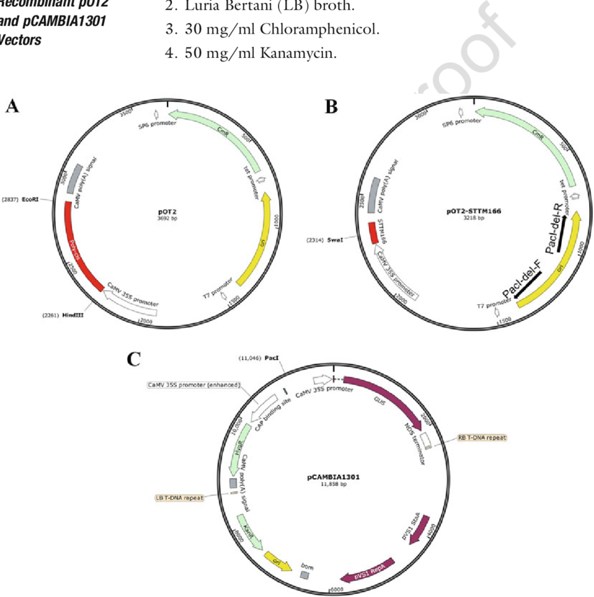 850x854 Vectors Used To Silence