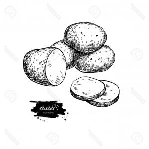 Photostock Vector Potato Vector Drawing Isolated Potatoes Heap 300x300 Photostock Vector Potato Vector Drawing Isolated Potatoes Heap